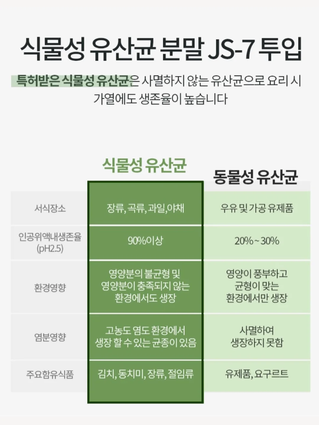 패밀리 래쉬가드 12
