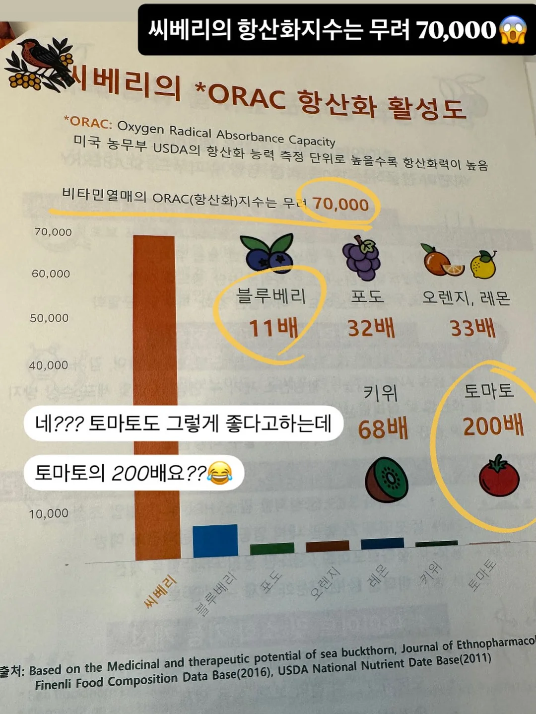 스탬프 눈썹 화장 12
