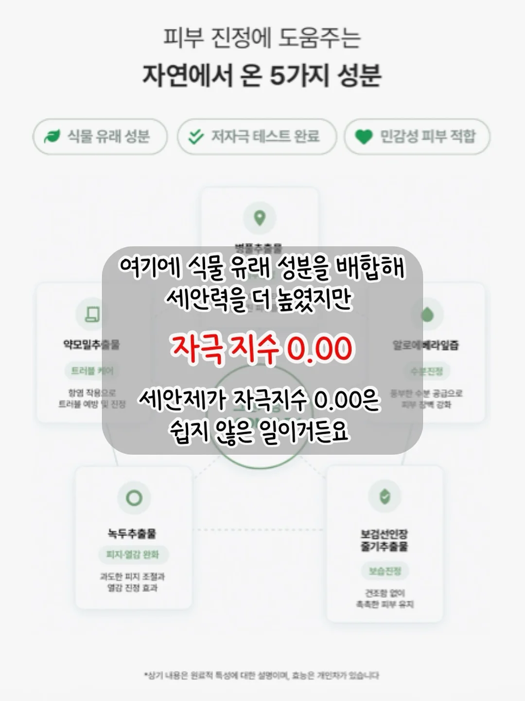 브론테 피스타치오 타르트 8