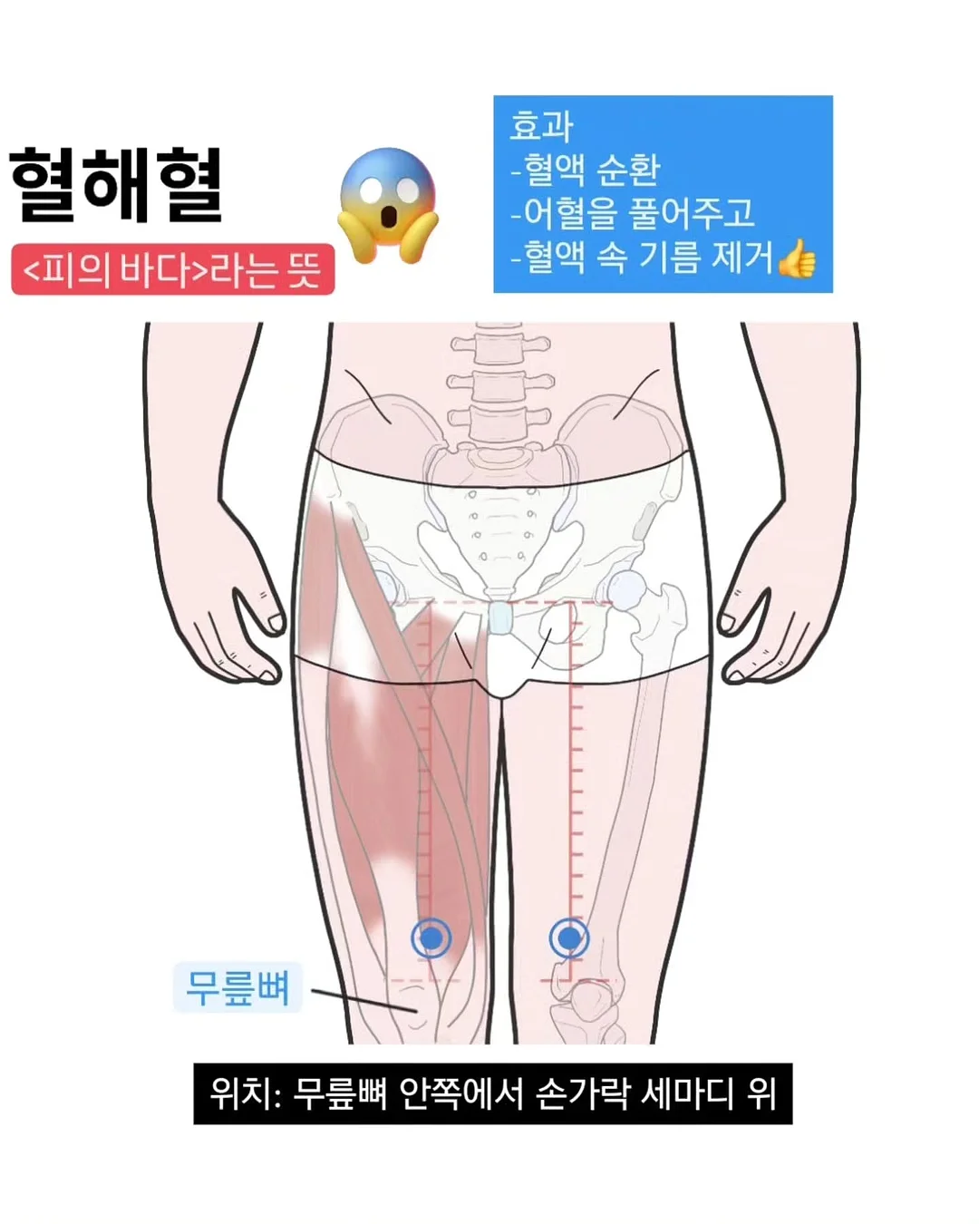 카네이션쿠키 플라워박스 2