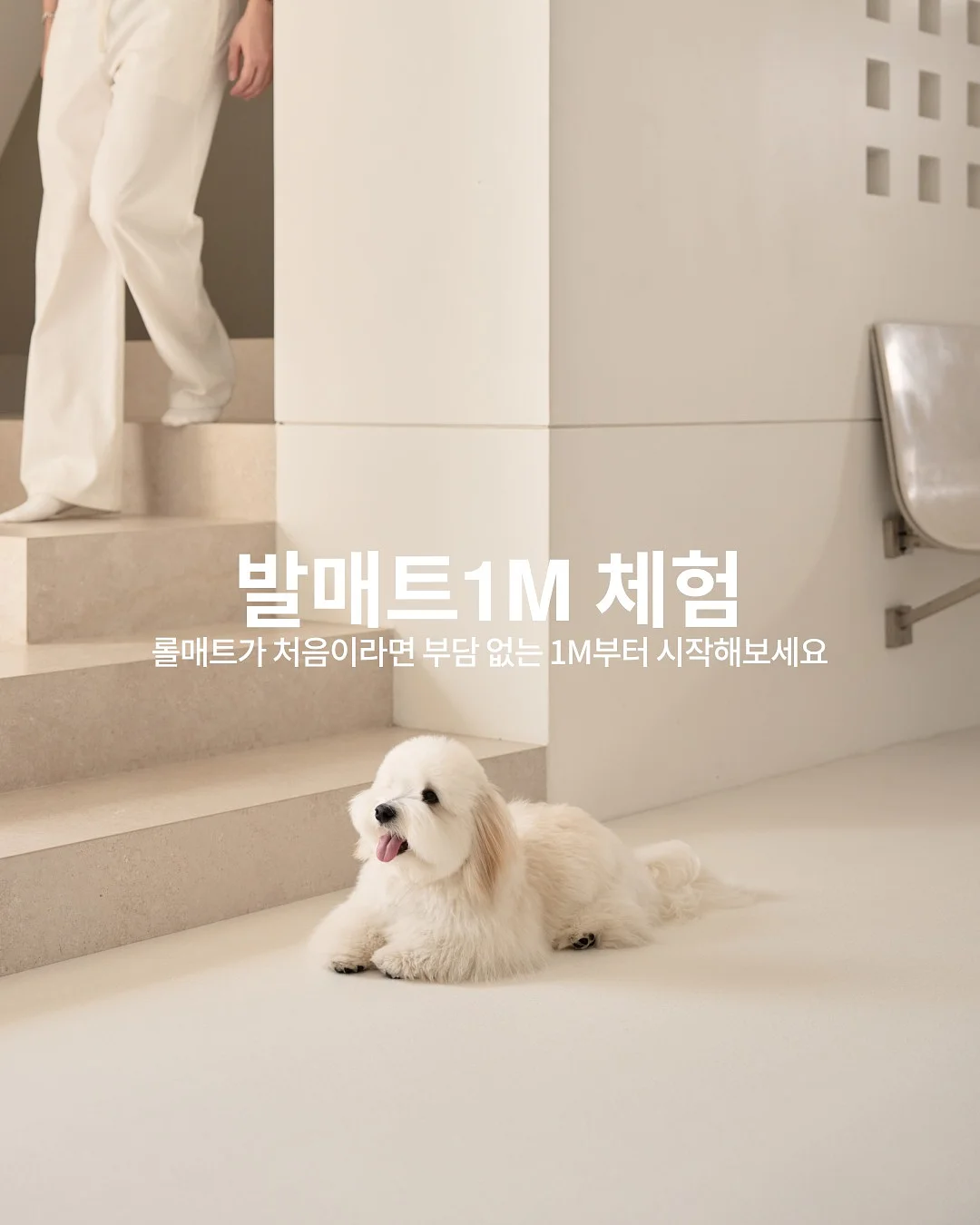 머메이드 다이빙 교육 1