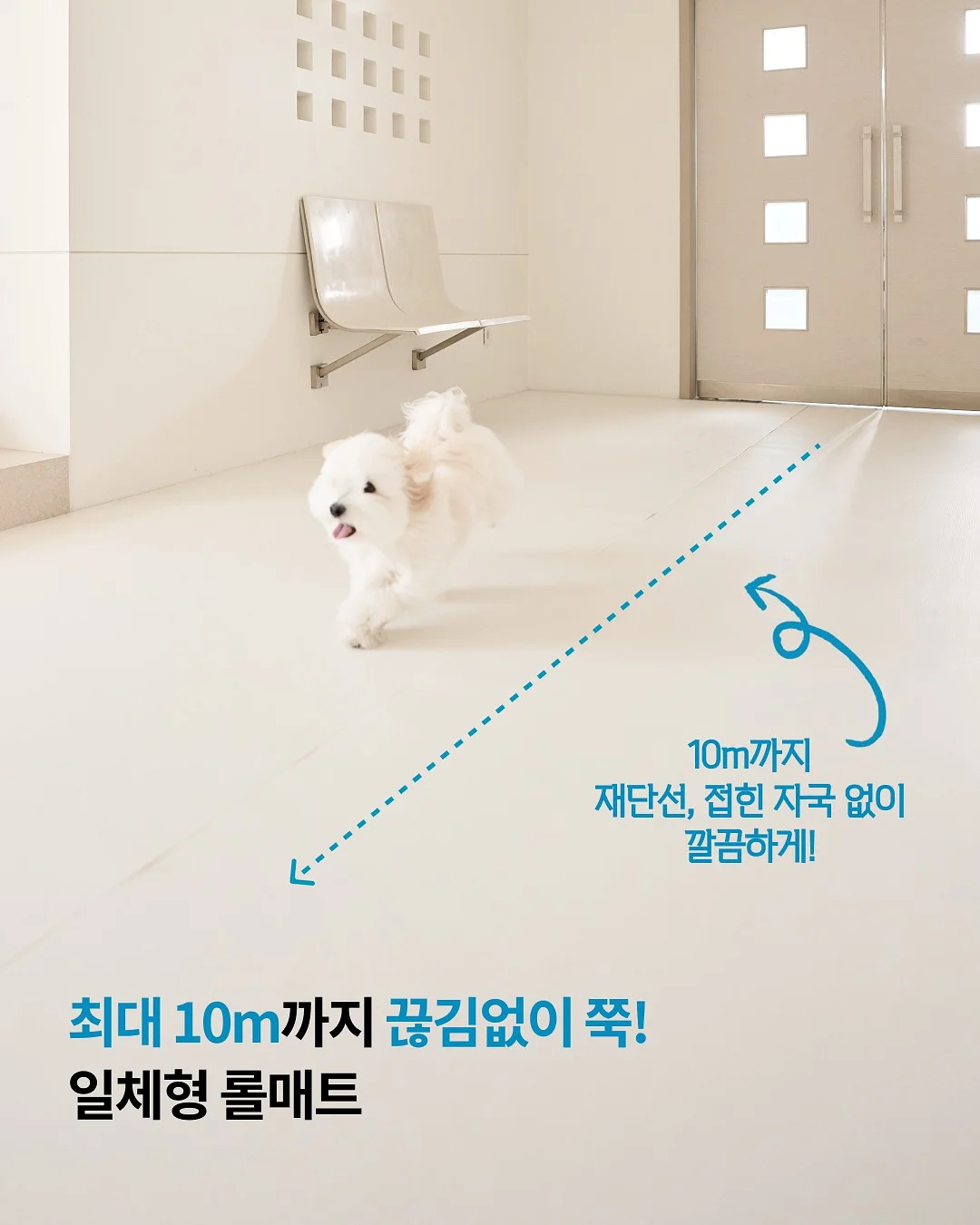 머메이드 다이빙 교육 5