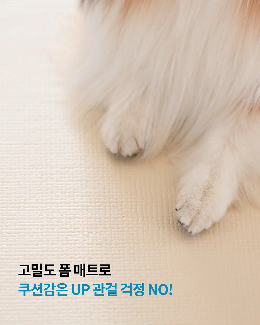 머메이드 다이빙 교육 7