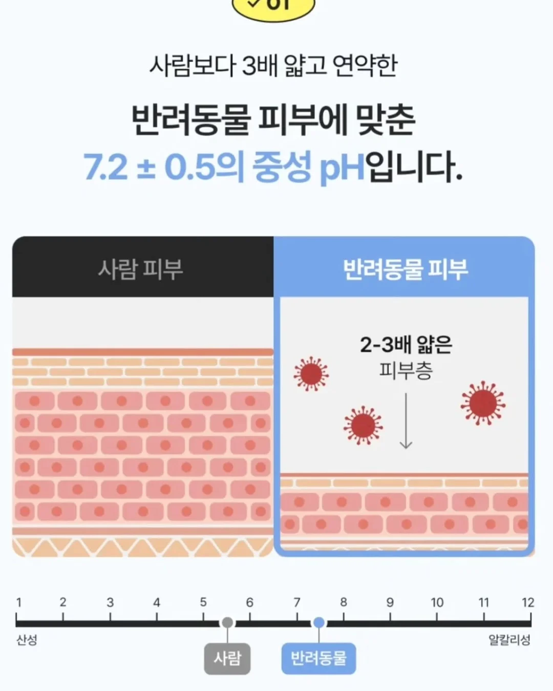속눈썹 영양제 9