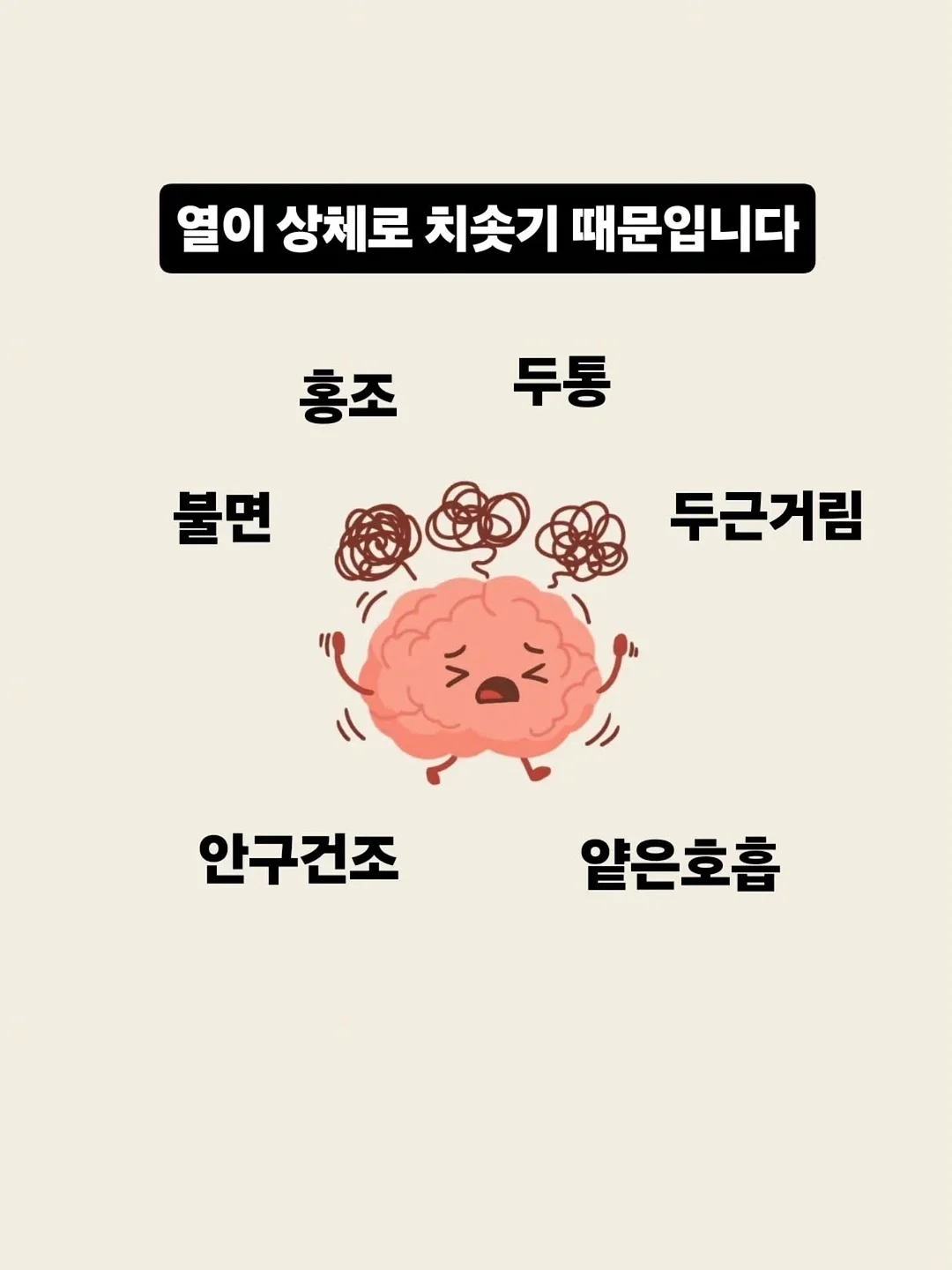 손질 갑오징어 중사이즈 2