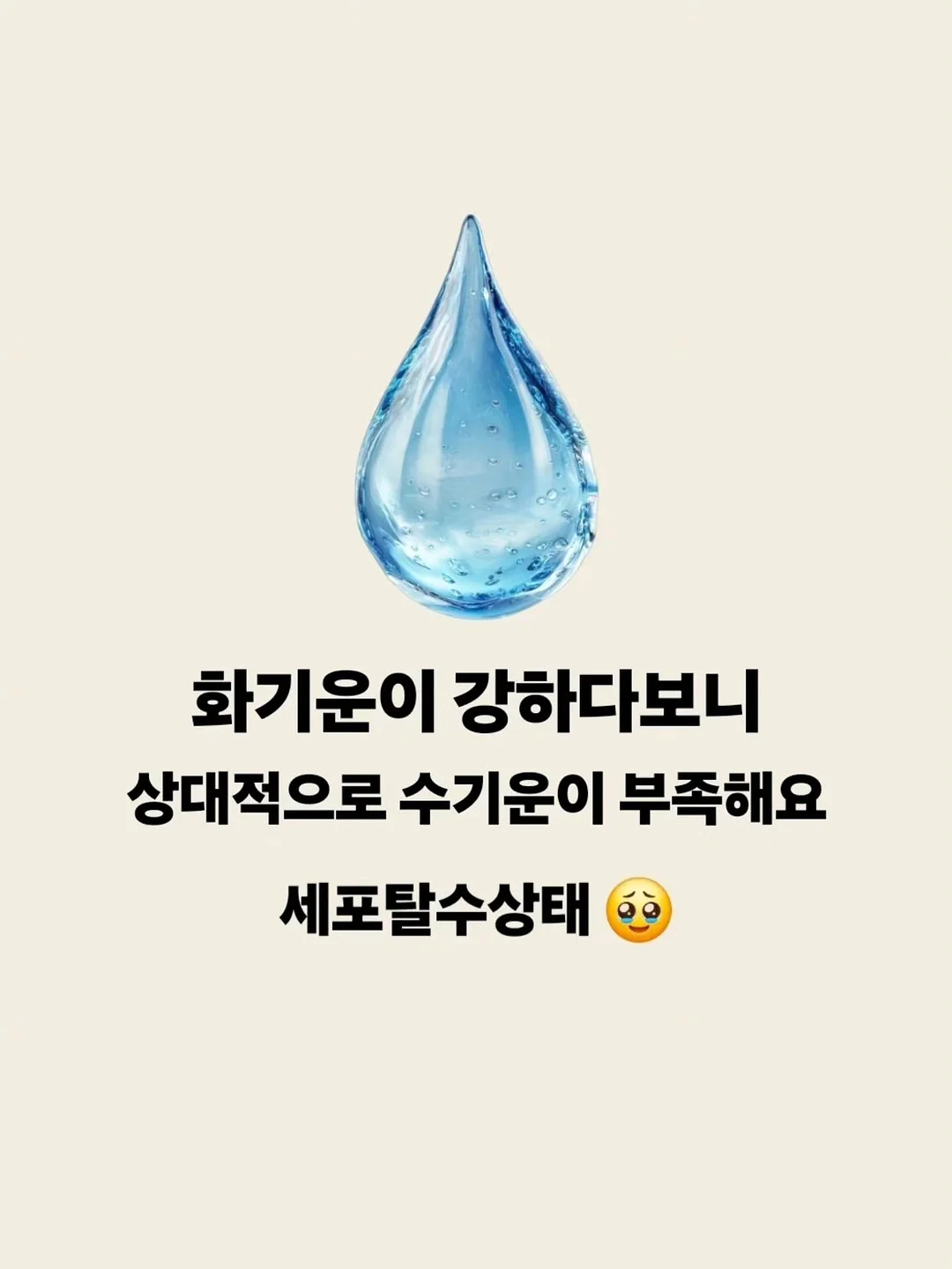 손질 갑오징어 중사이즈 4