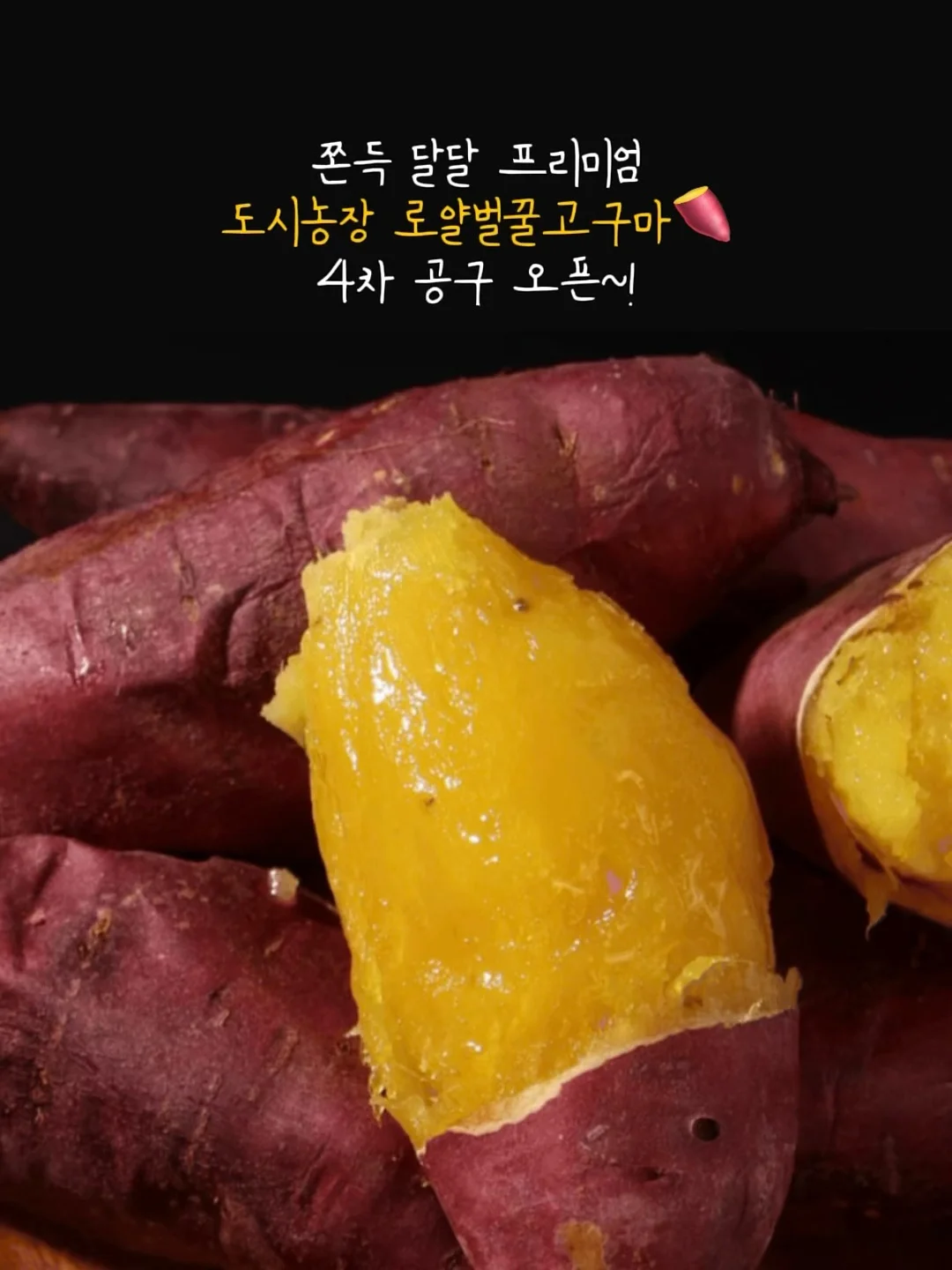 디에스이 멀티탭 2