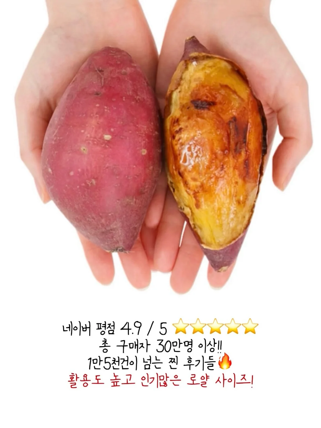 디에스이 멀티탭 4
