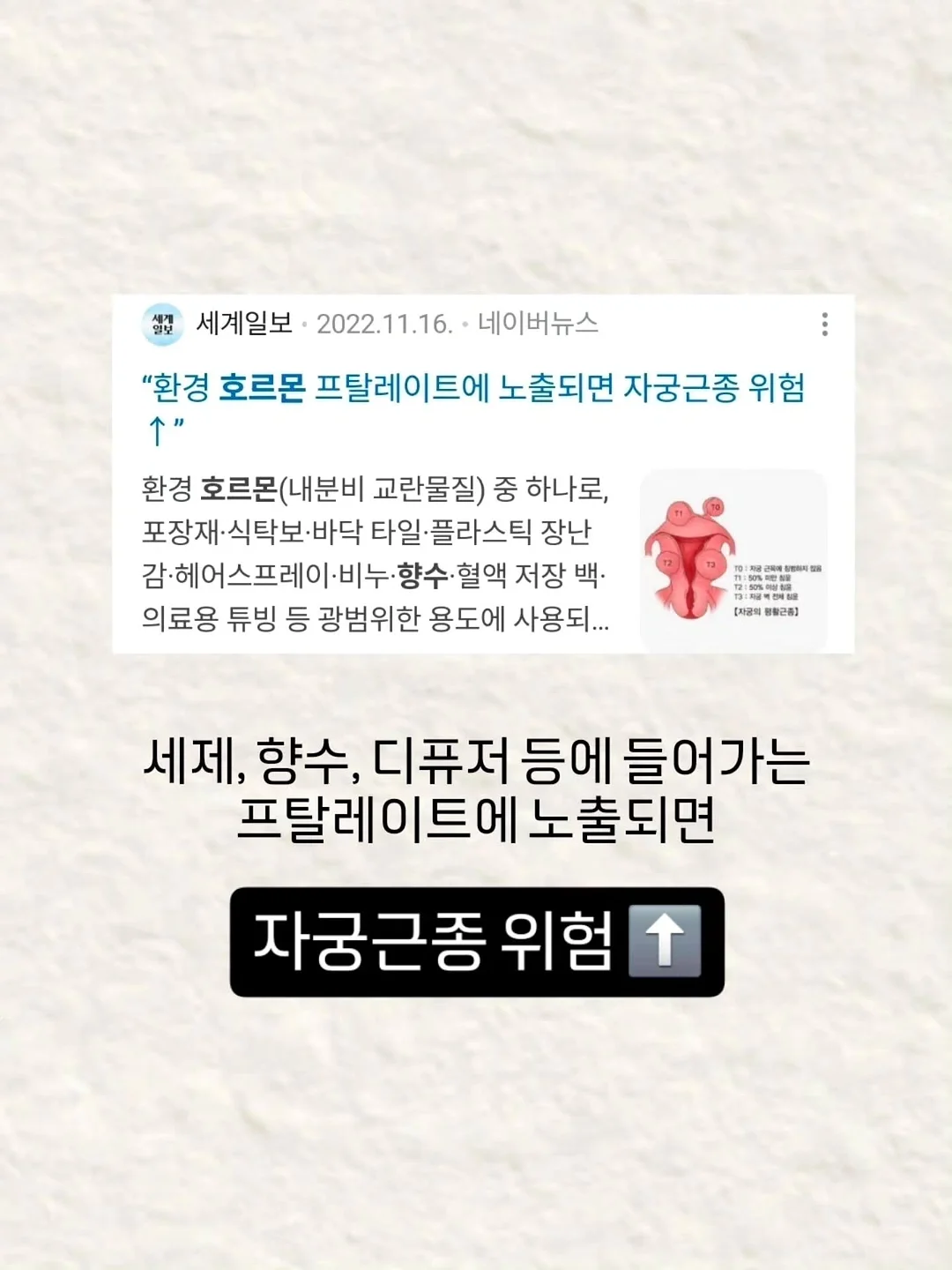 쇼펜하우어 인생수업 2