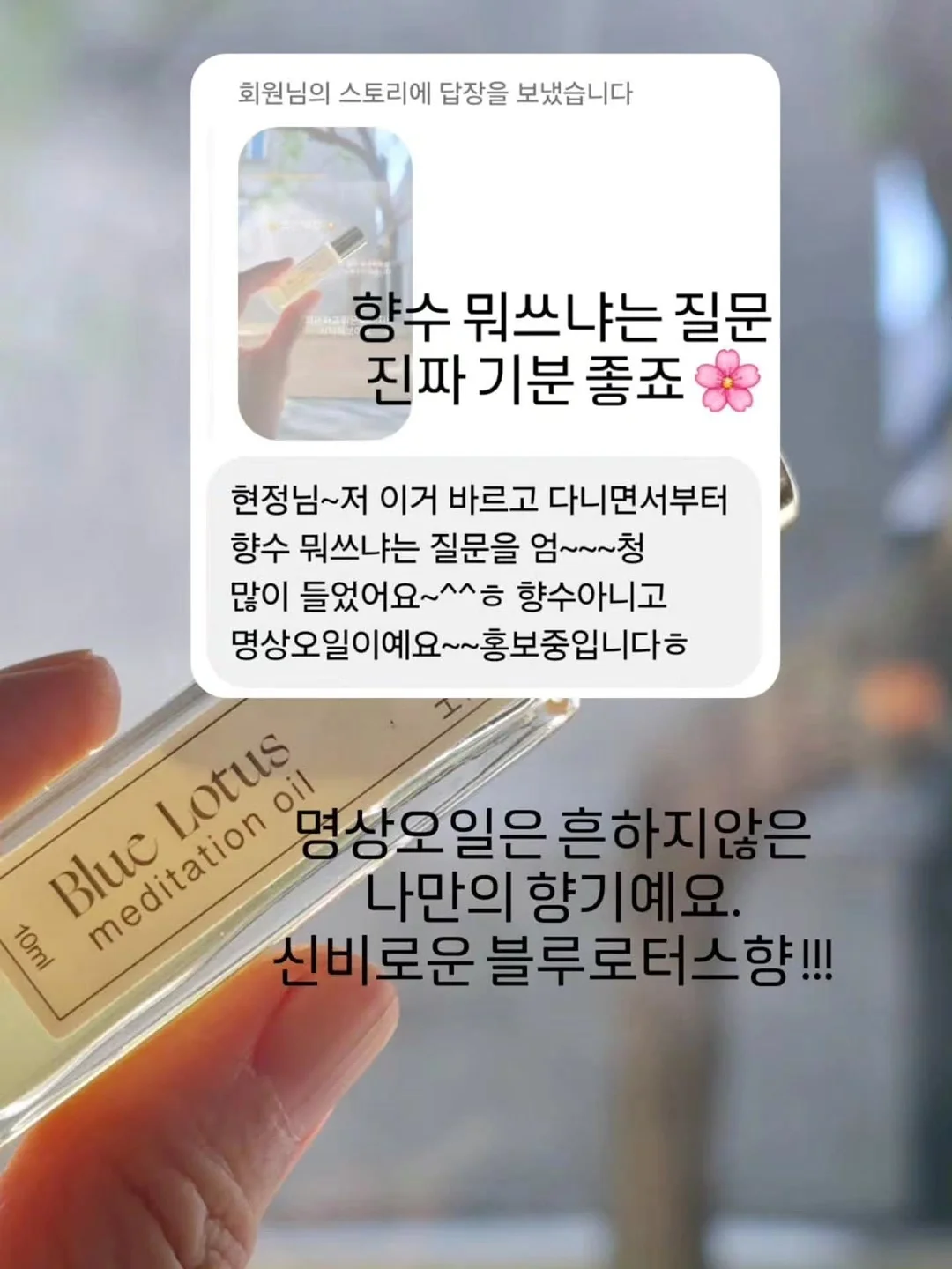 쇼펜하우어 인생수업 8