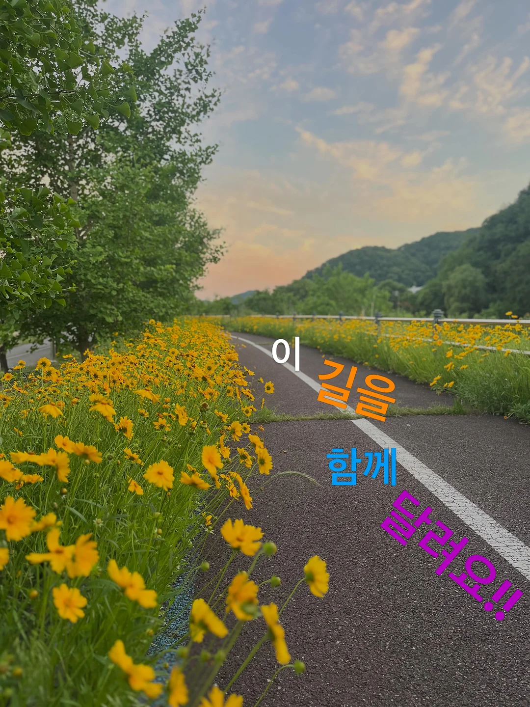 한화우주의조약돌5기 5