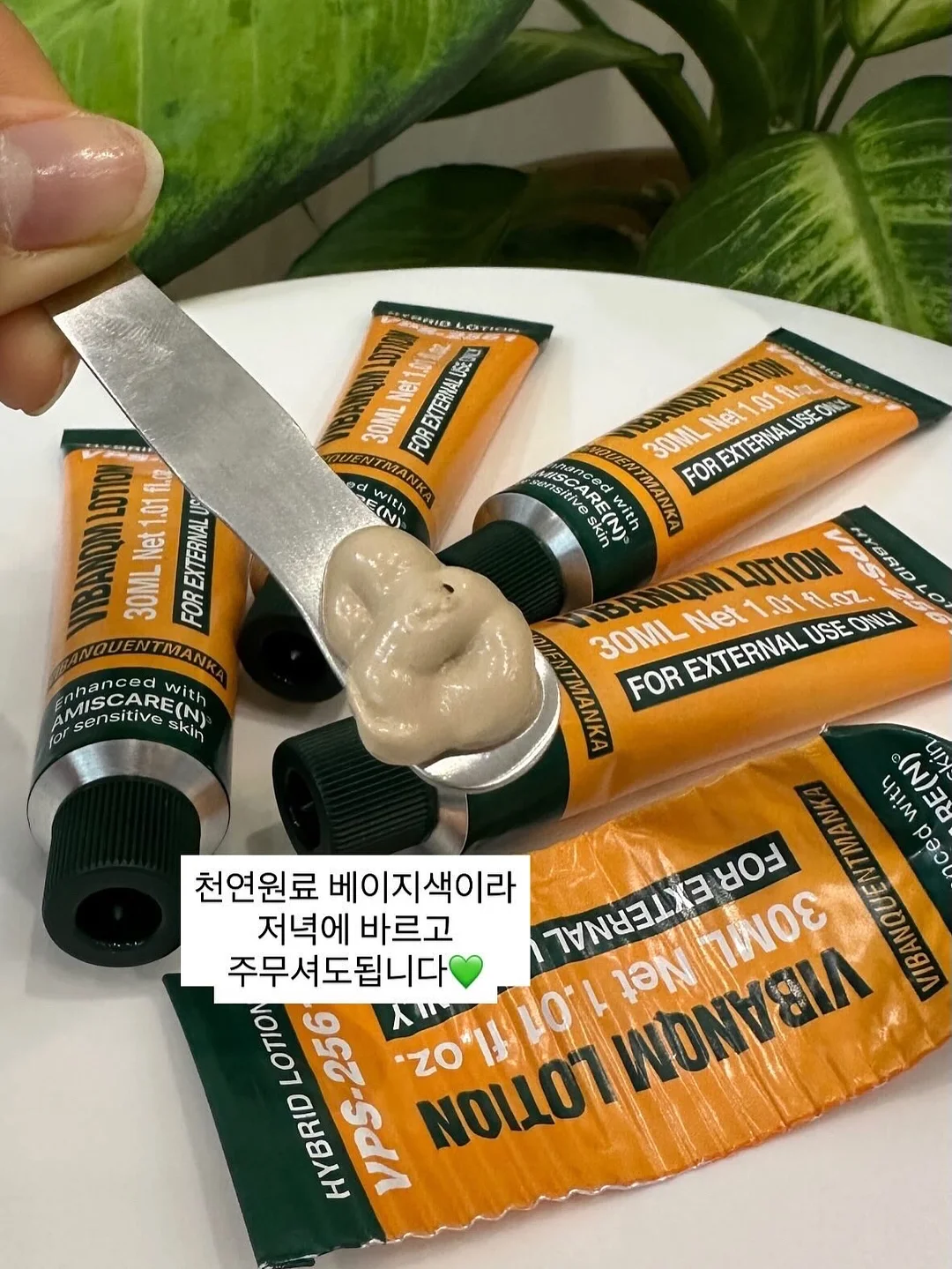 버뮤다+링거티 2