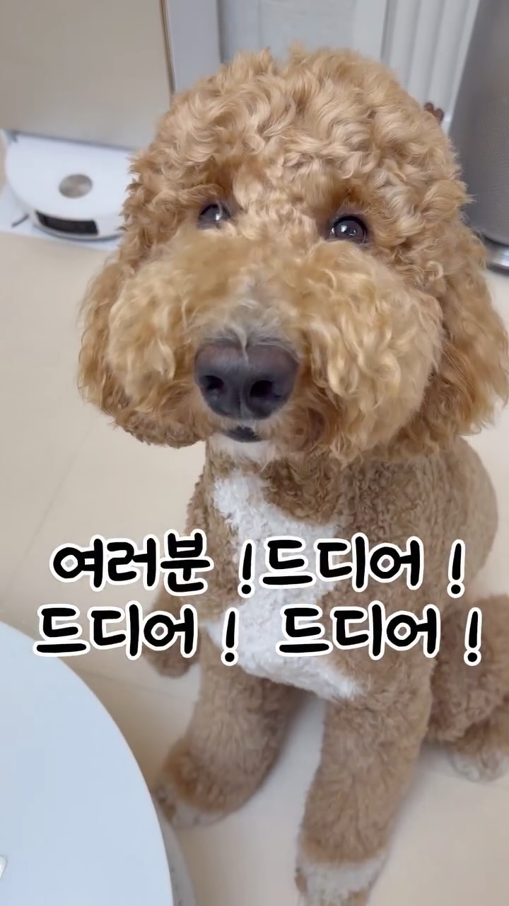 크롬 레인보우 레터링 반팔