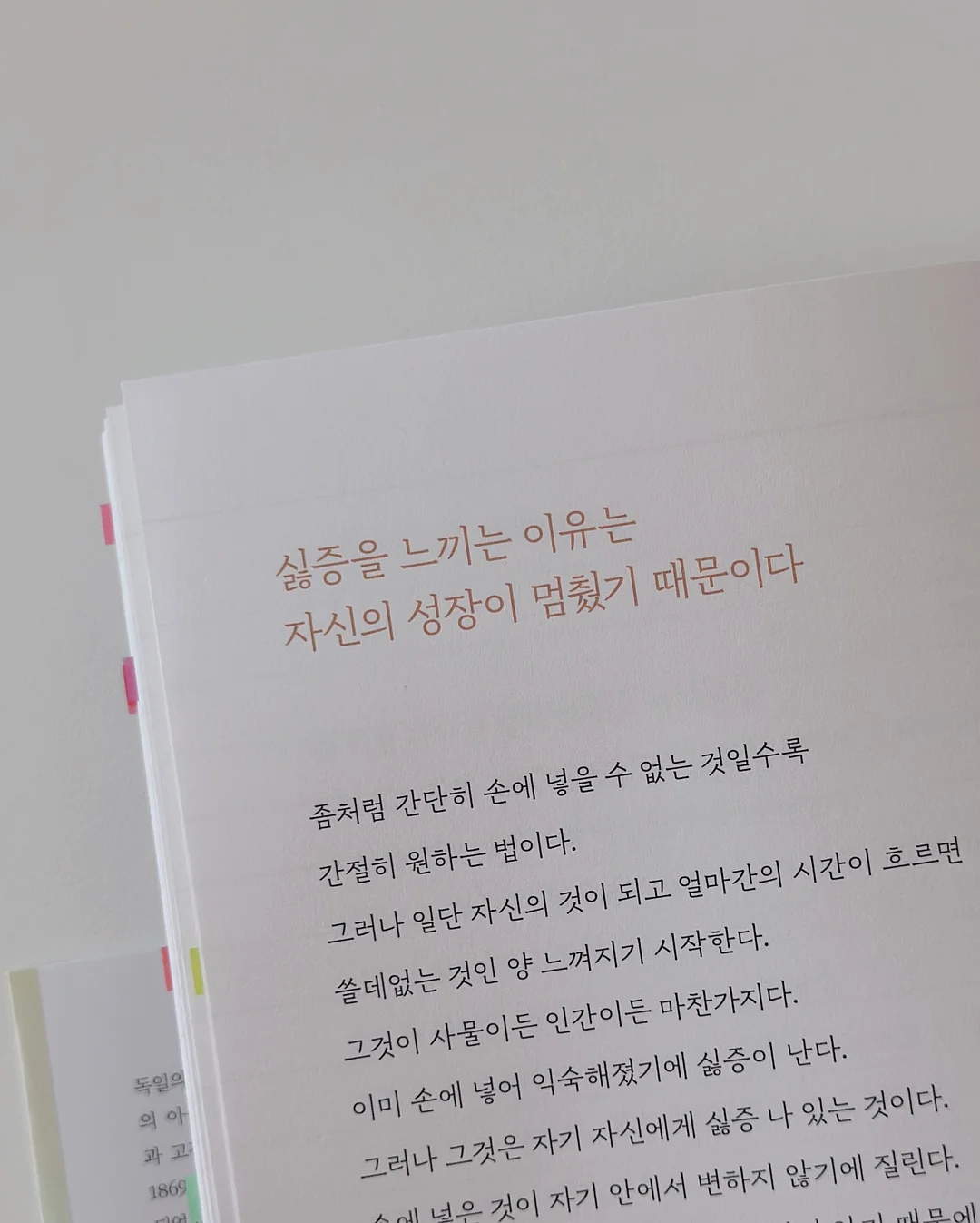 아기 사규삼 4