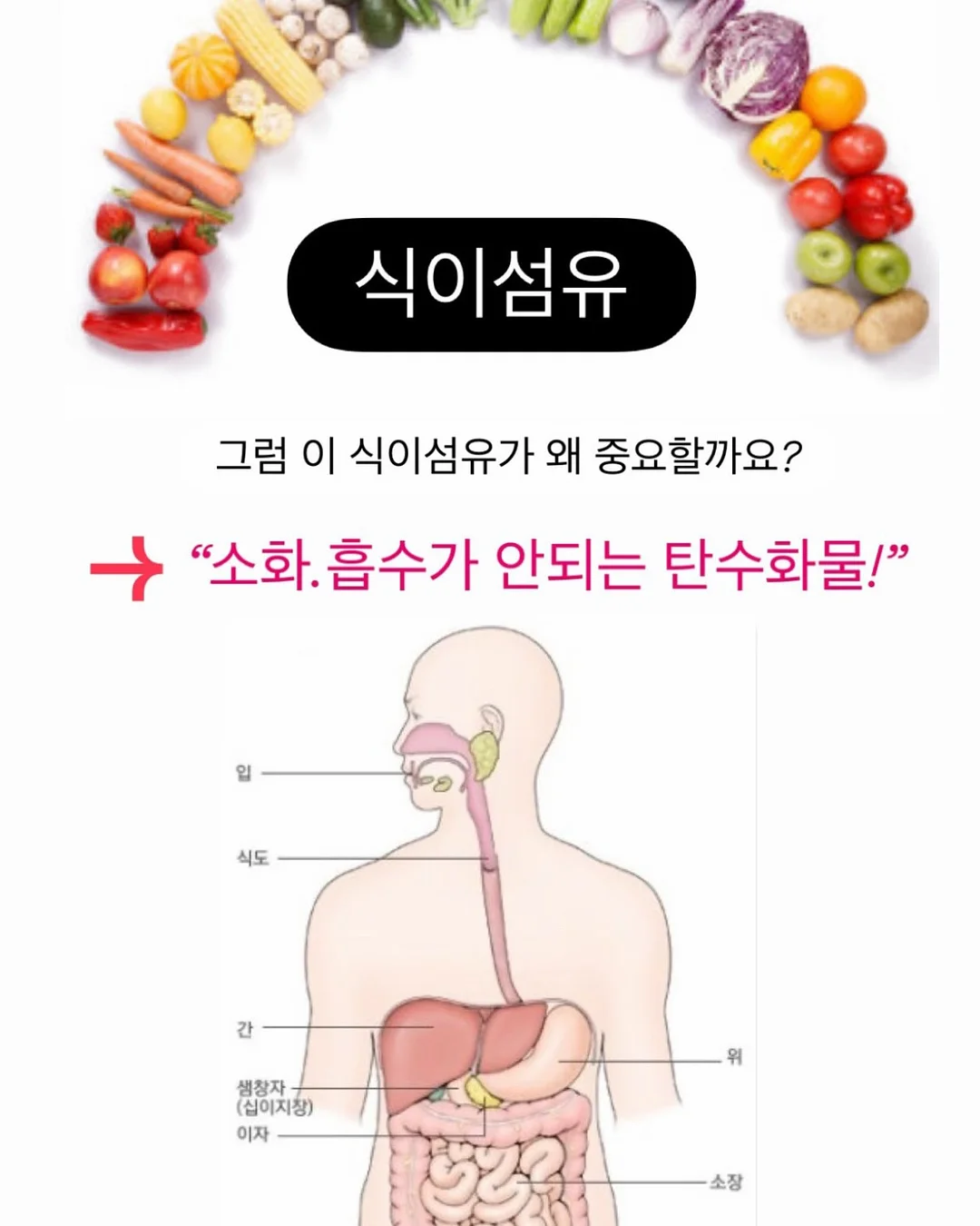 클로드 프롬프트 200개 2
