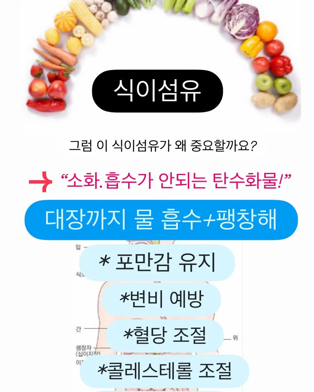 클로드 프롬프트 200개 3