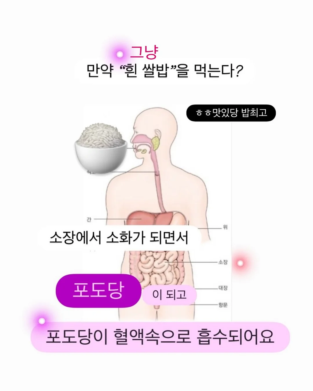 클로드 프롬프트 200개 4
