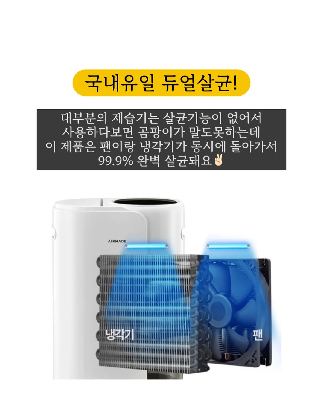 나비 타투 네일 아트 4