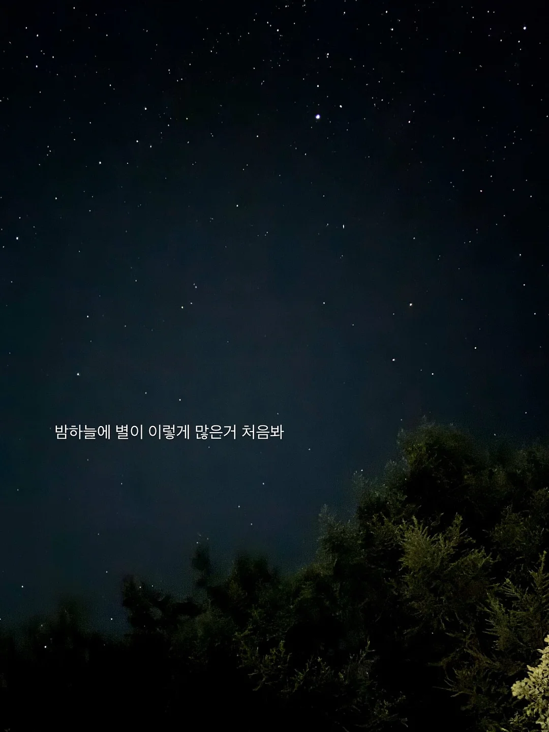 엔비디아의 생존 방식 8