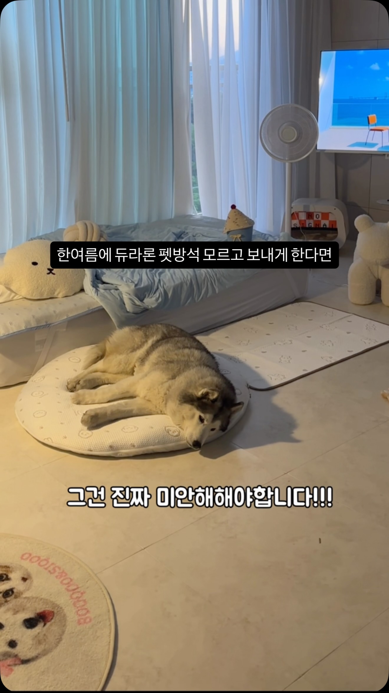 워셔액 와이퍼