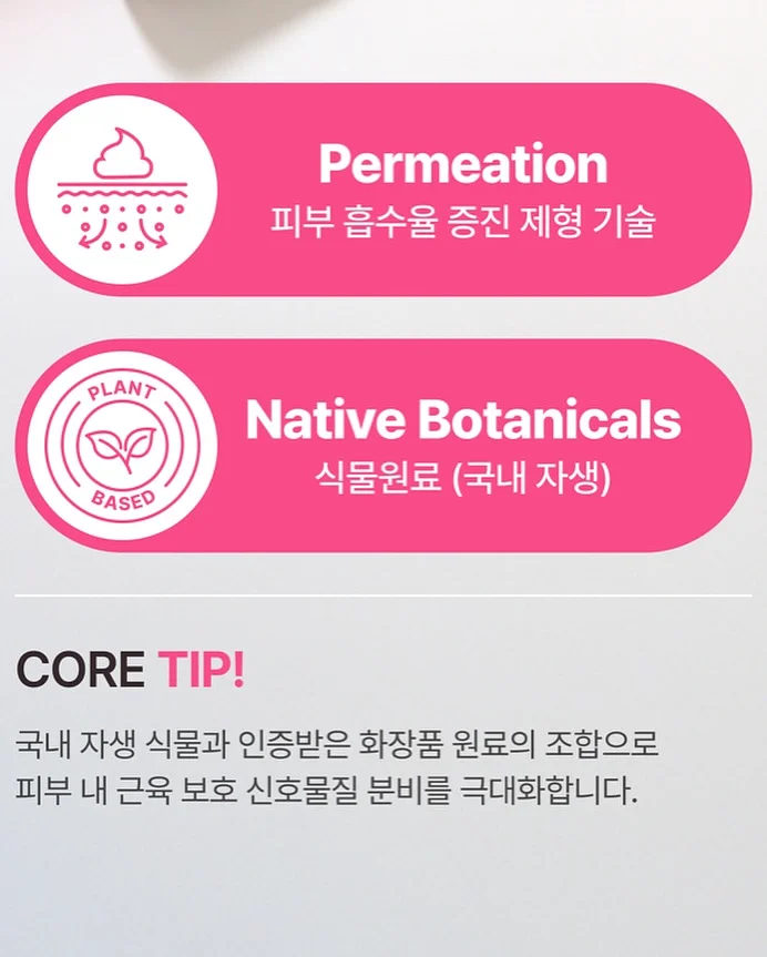 무늬 알리고무나무 13