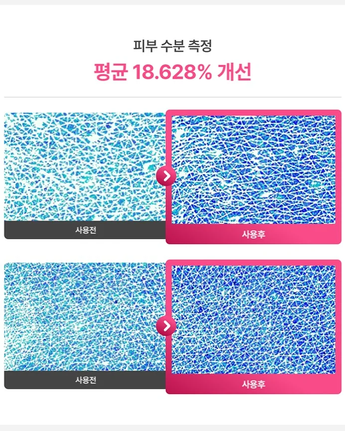 무늬 알리고무나무 16