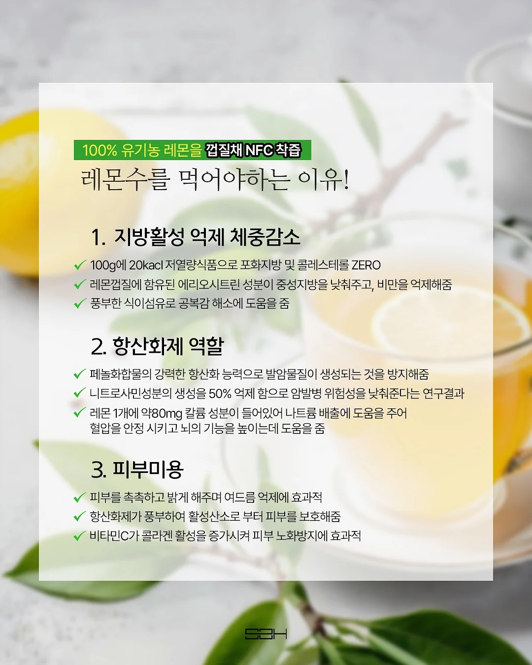 대파 보관 용기 5