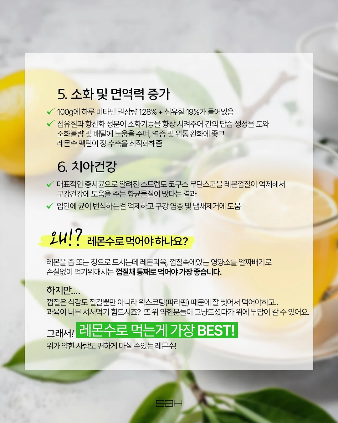 대파 보관 용기 6