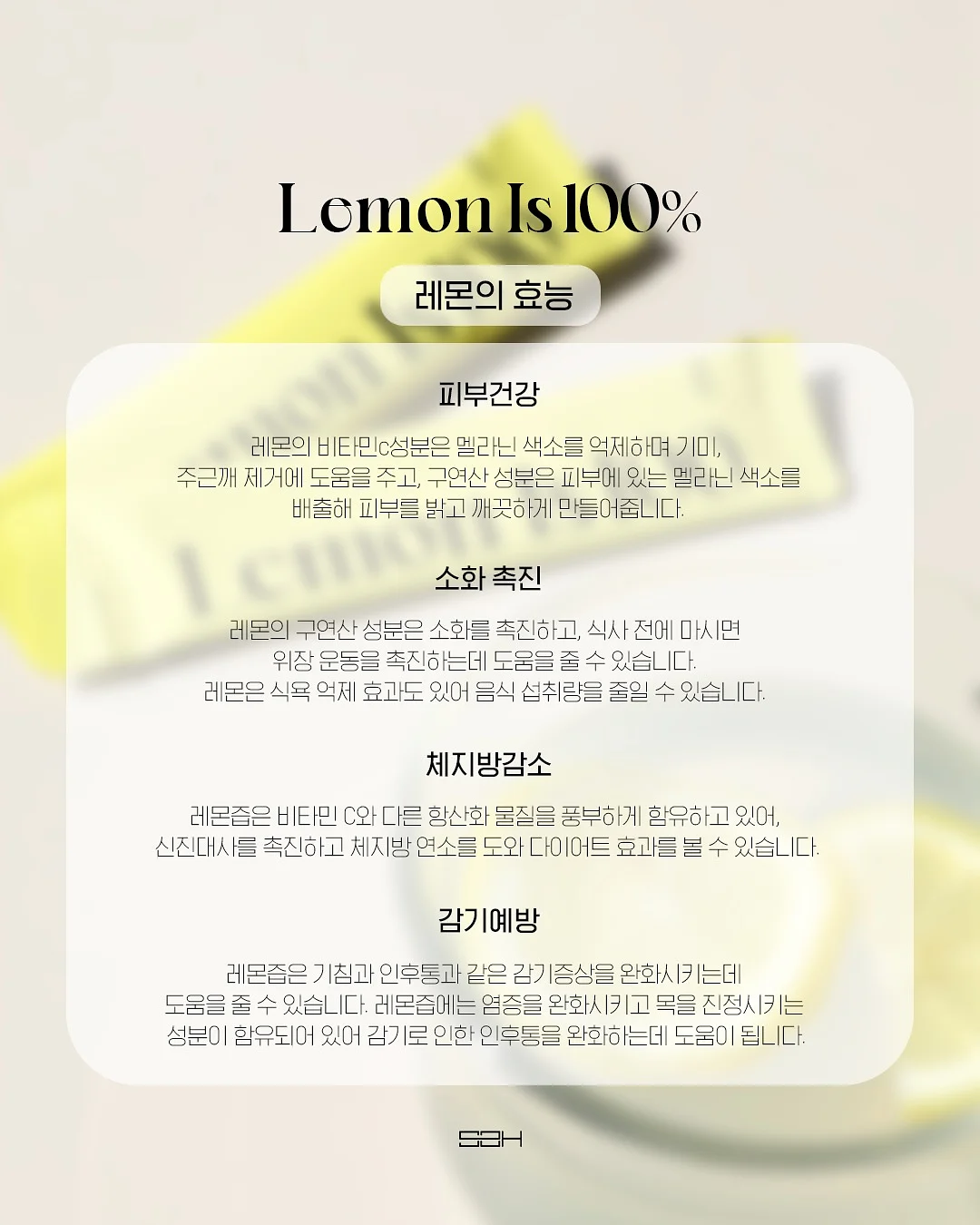 대파 보관 용기 7