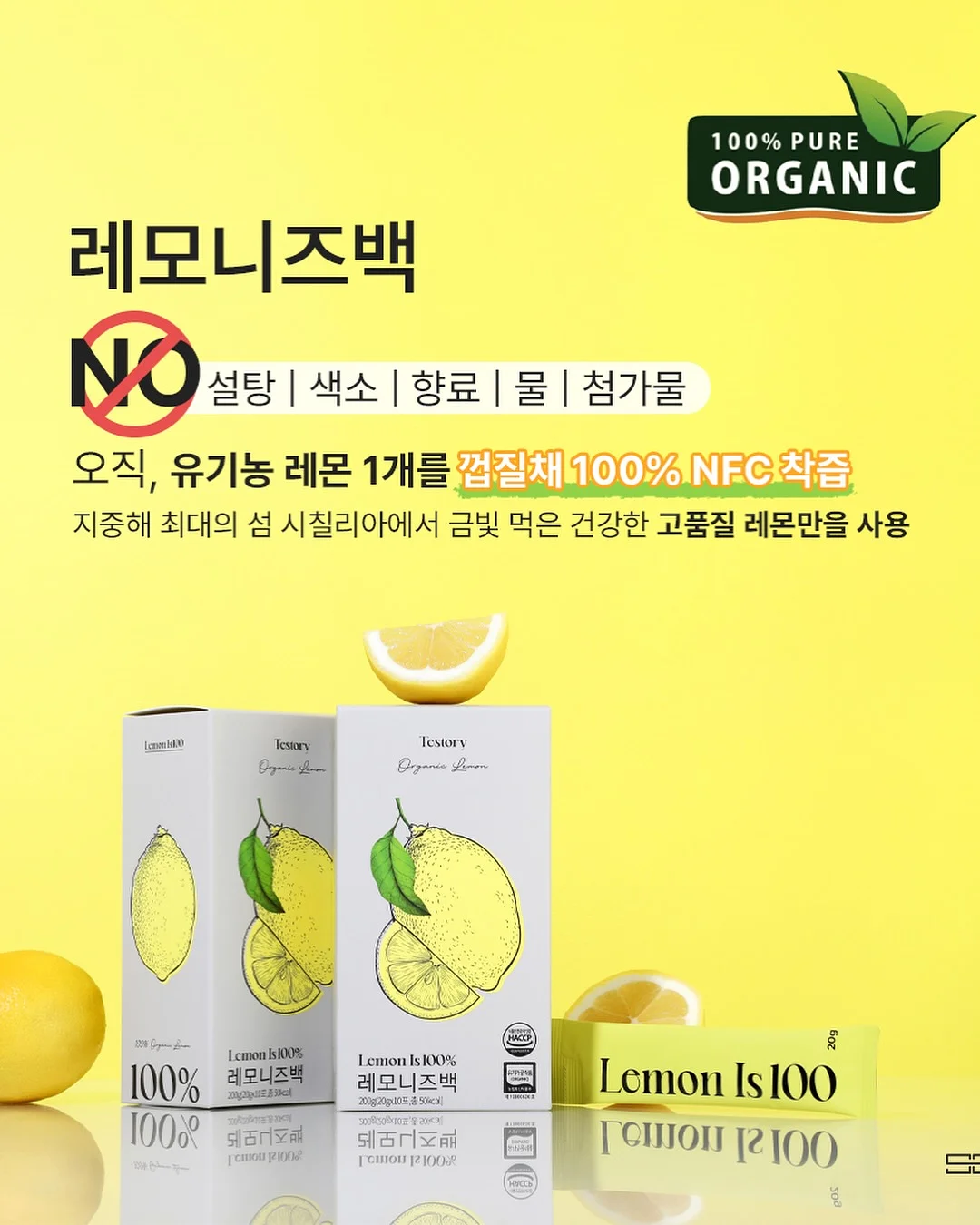 대파 보관 용기 9