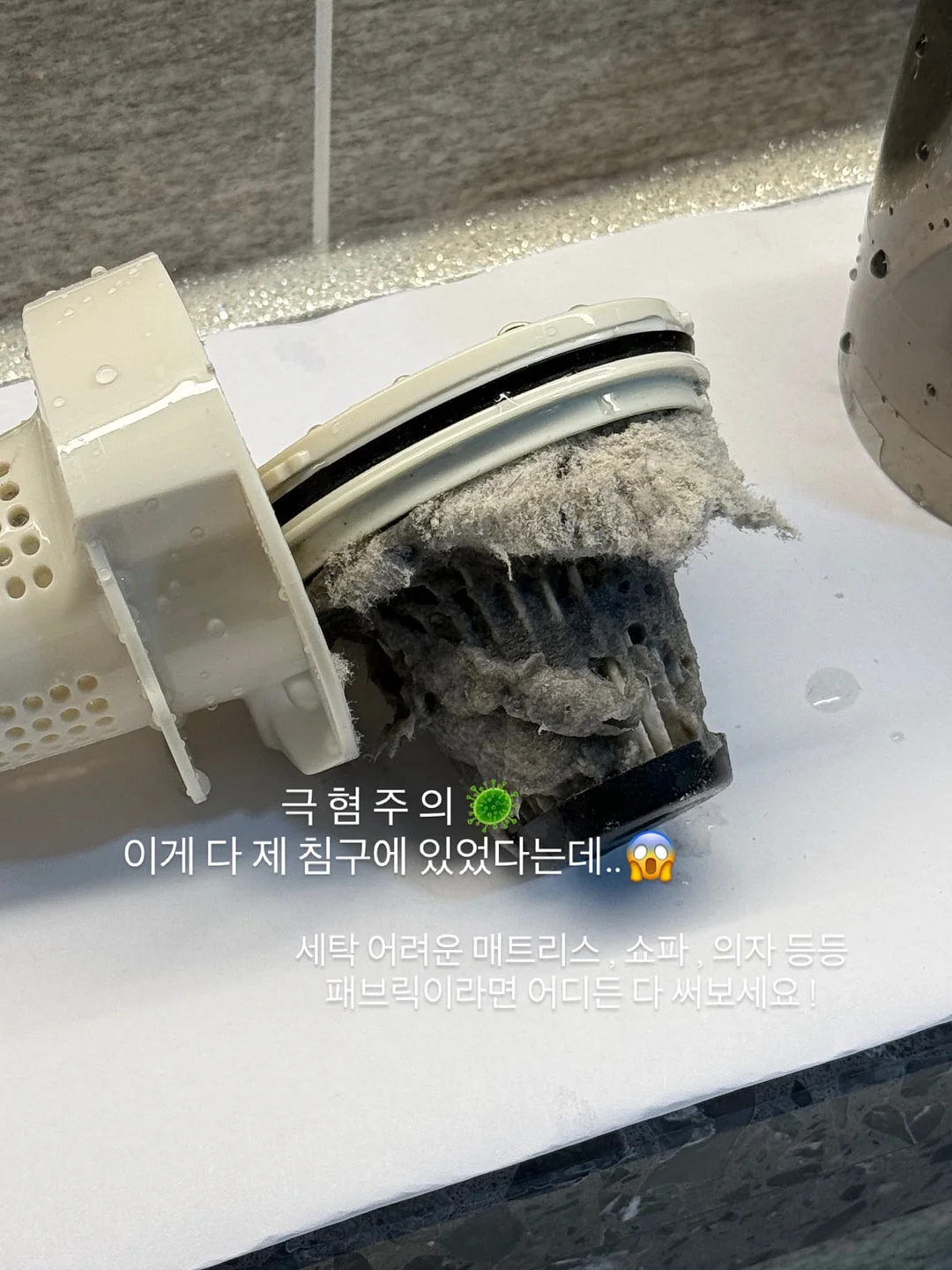 말차망고산도 8