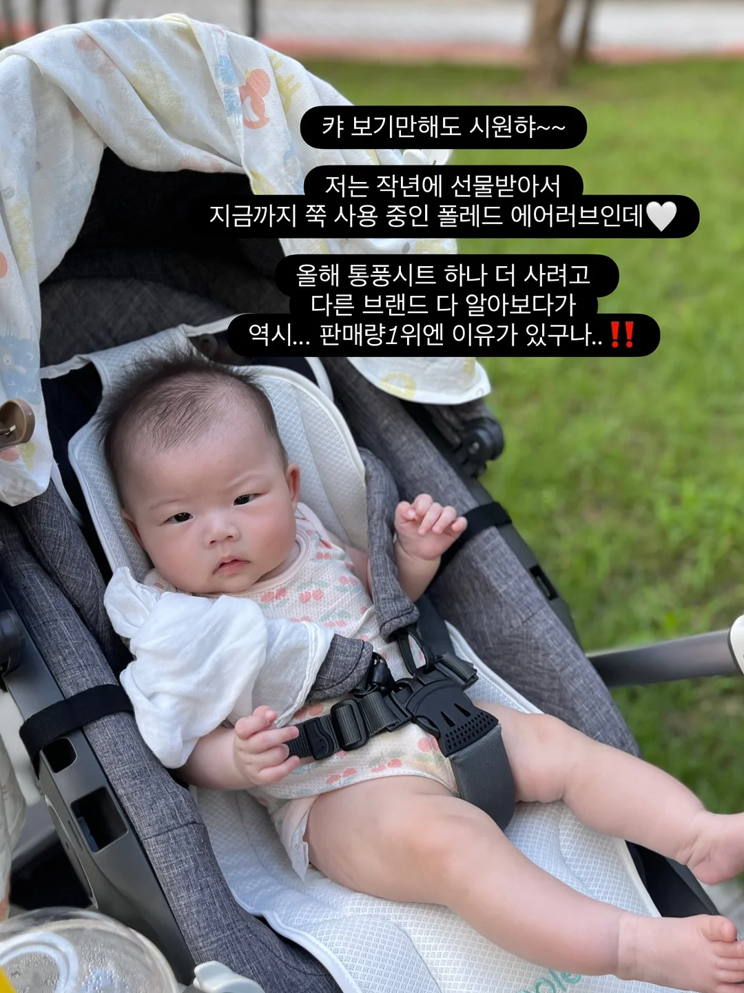 강아지 전용 휴양지 쿠션 3