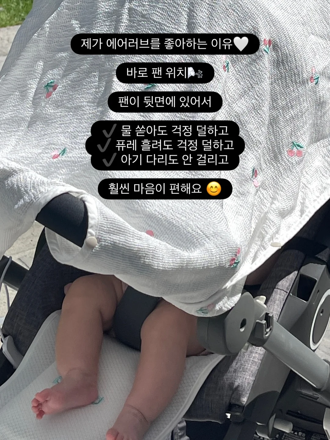 강아지 전용 휴양지 쿠션 4