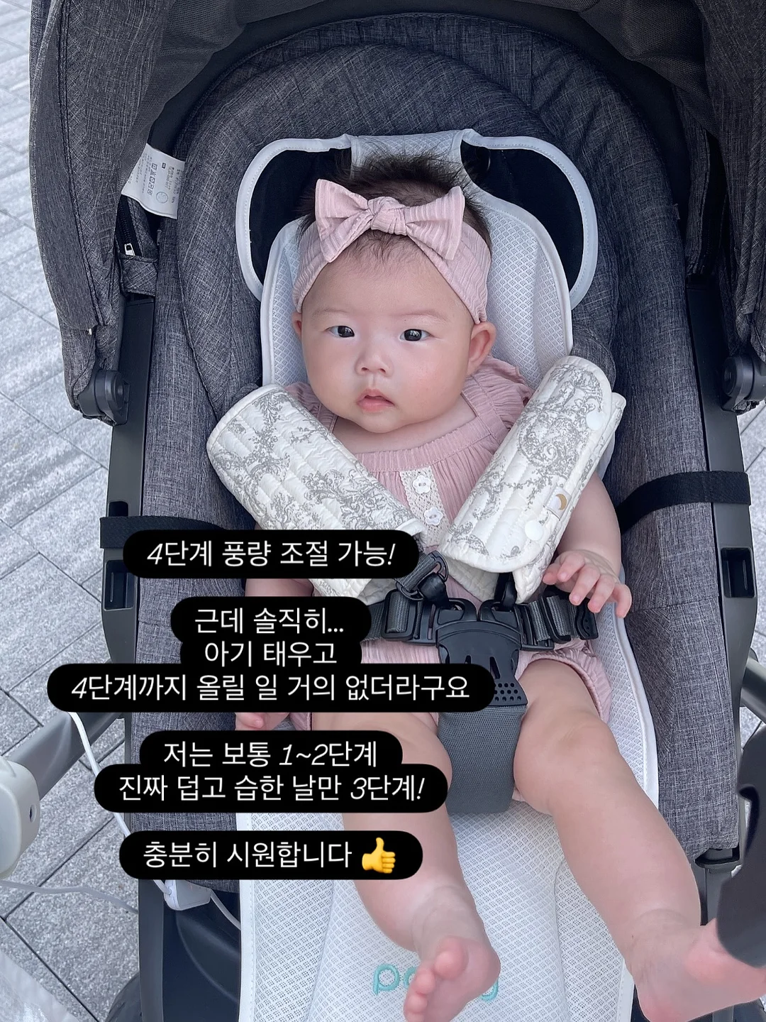 강아지 전용 휴양지 쿠션 5