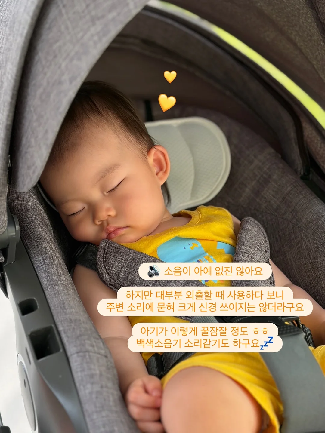 강아지 전용 휴양지 쿠션 6