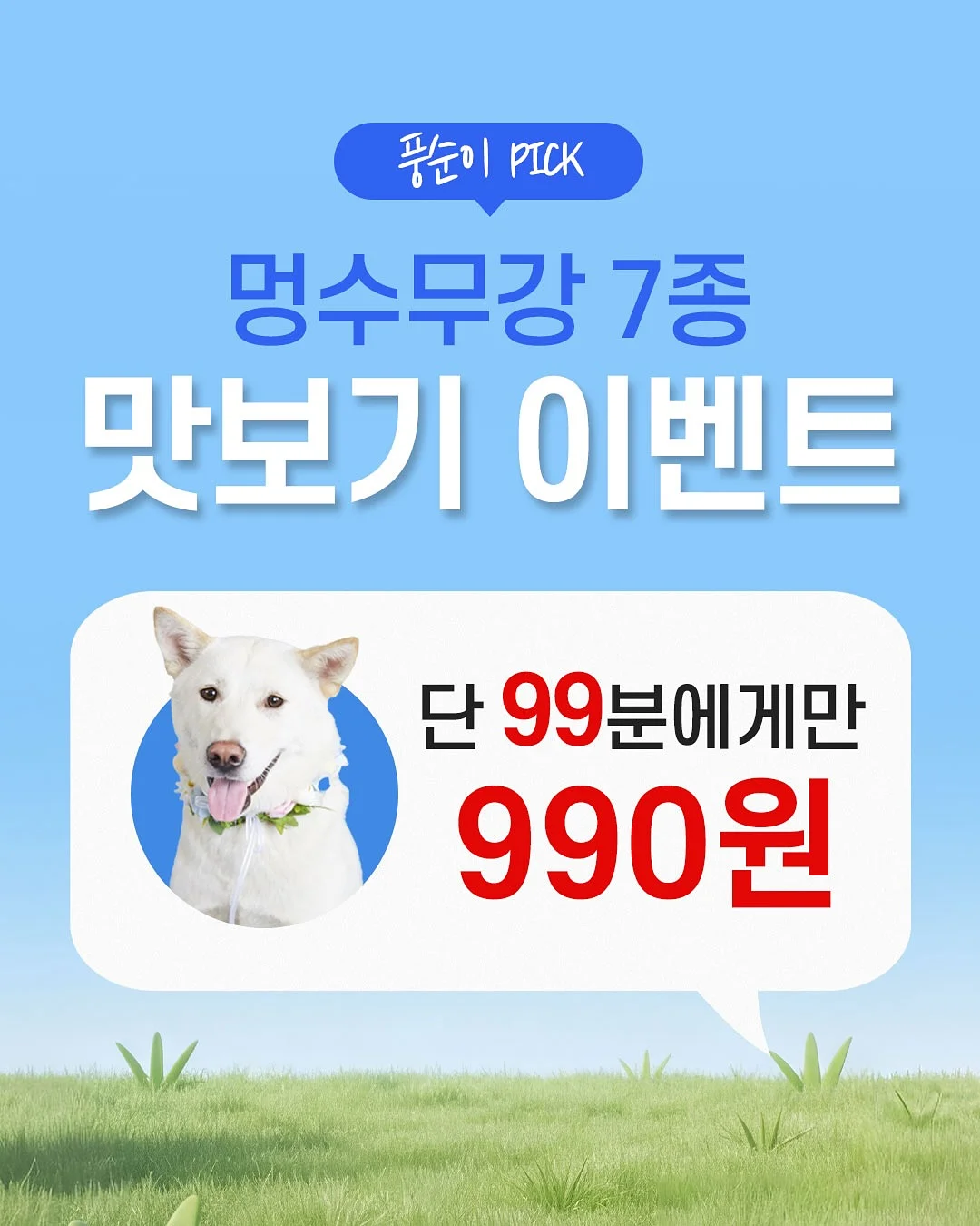 춤추는 오징어 1