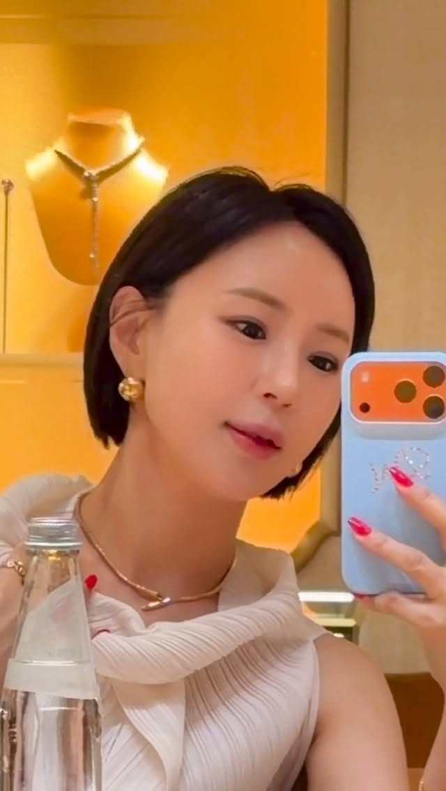 페가수스프리미엄