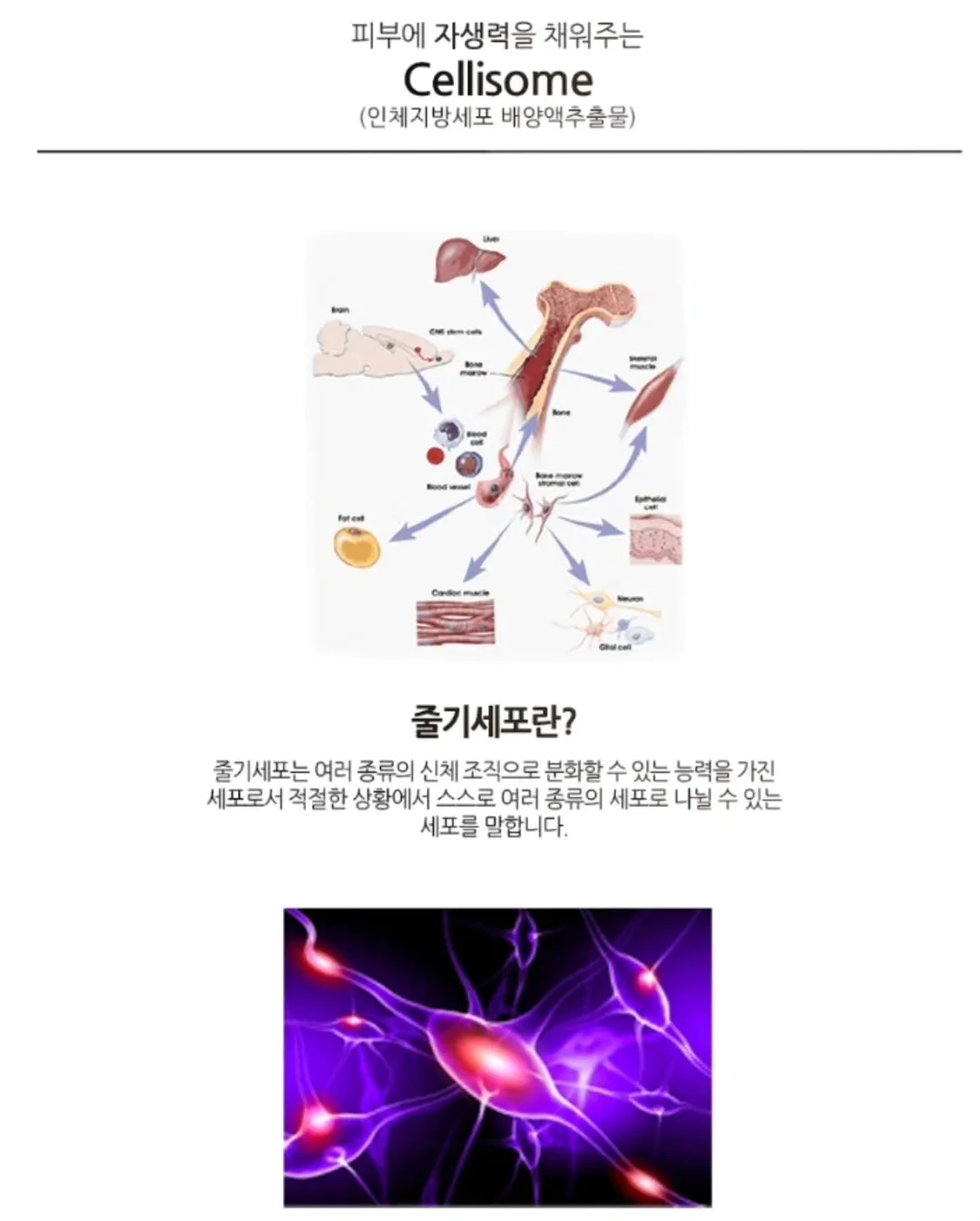 누비 트래블러 T 6