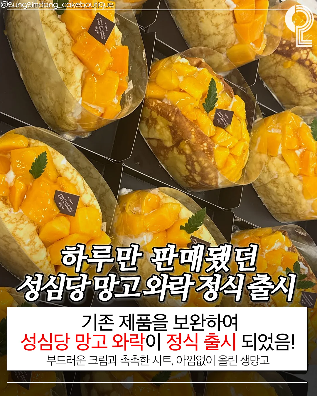 전완근 운동 루틴 2