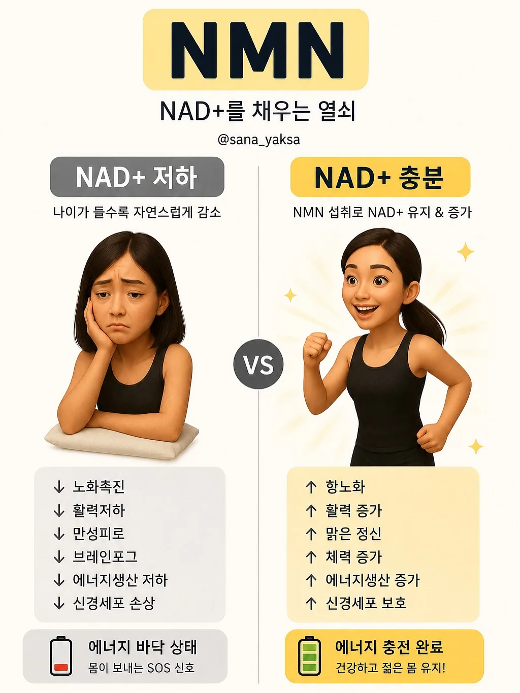 아보카도칩 5