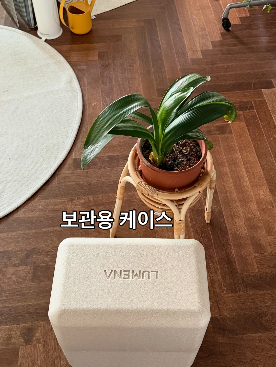 본아트 사진/영상 촬영 10