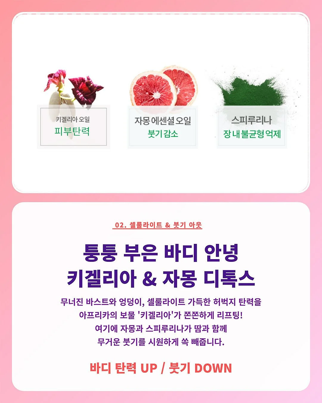 수박 커터기 3