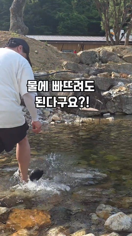 유기농 엑스트라버진 올리브유 1L
