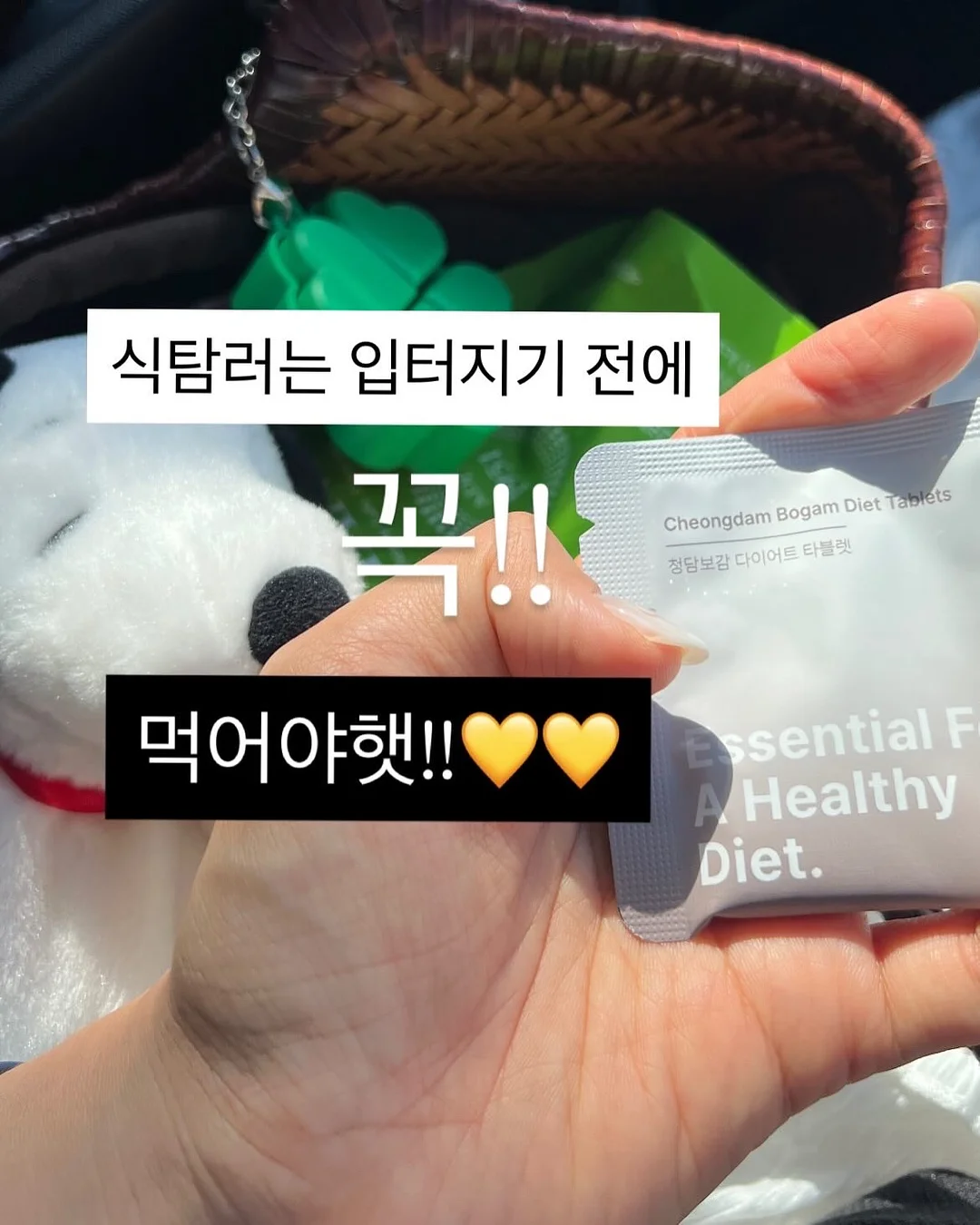정재승의 인간탐구보고서 & 인류탐험보고서 세트 6
