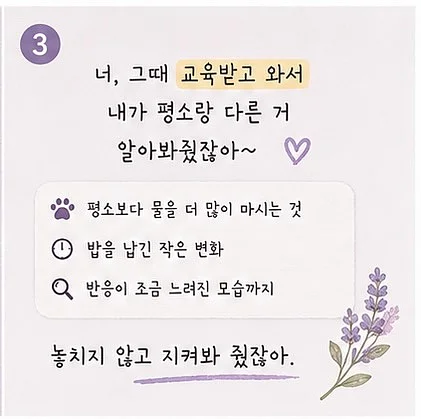 5성급 호텔 숙박 패키지 3