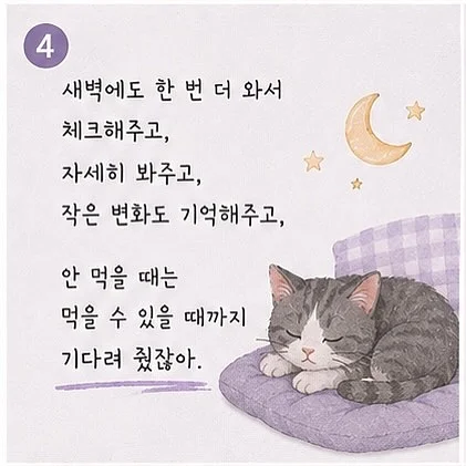 5성급 호텔 숙박 패키지 4