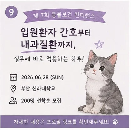 5성급 호텔 숙박 패키지 9