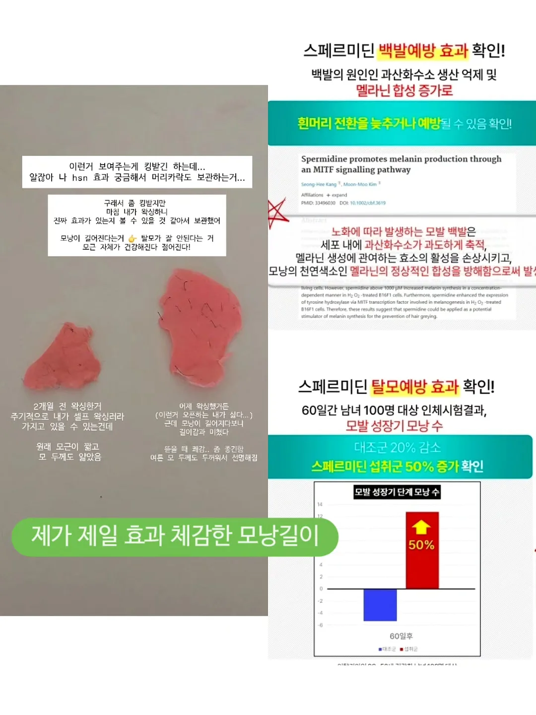 생일 답례품 부채 4