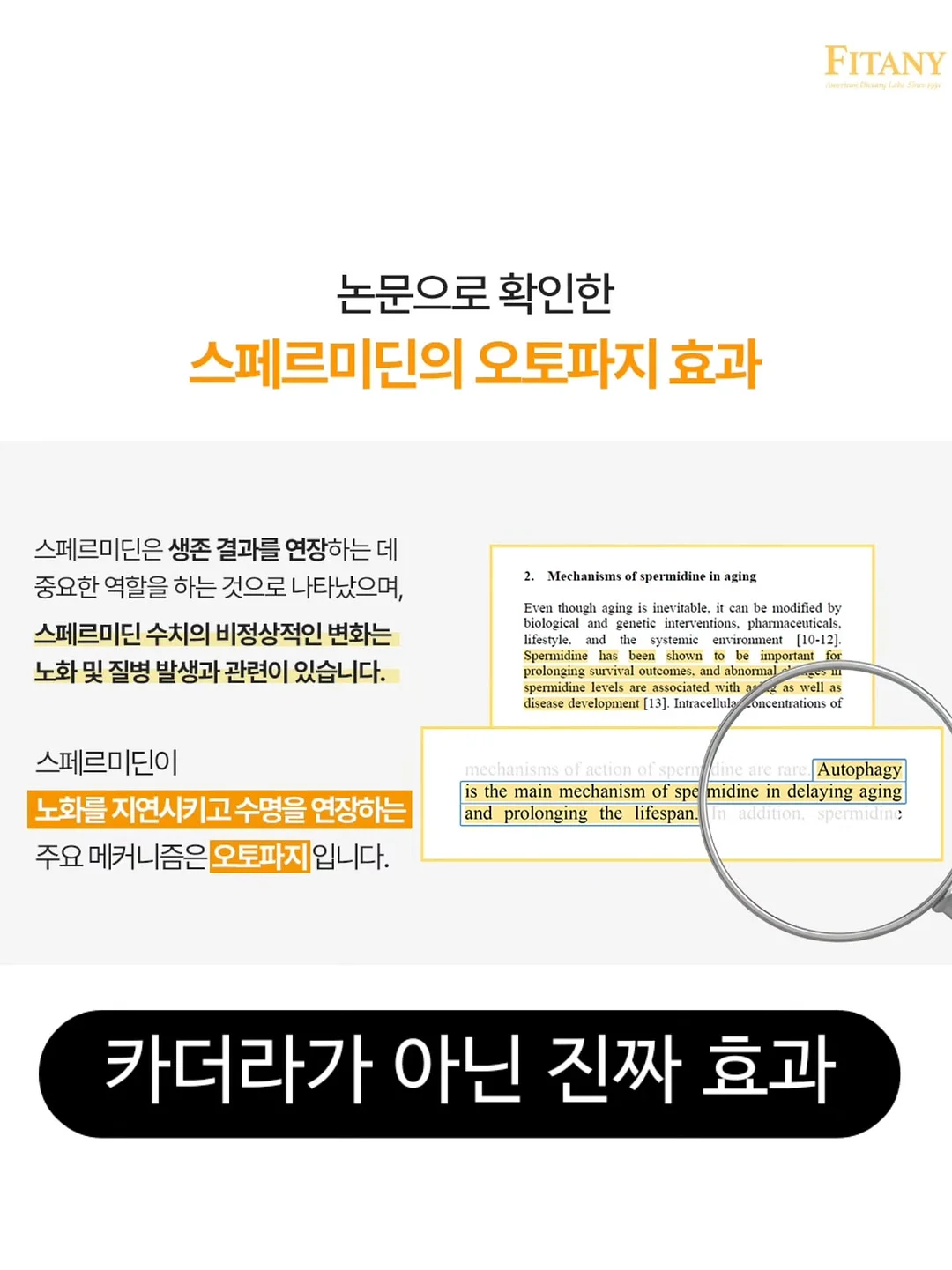생일 답례품 부채 8
