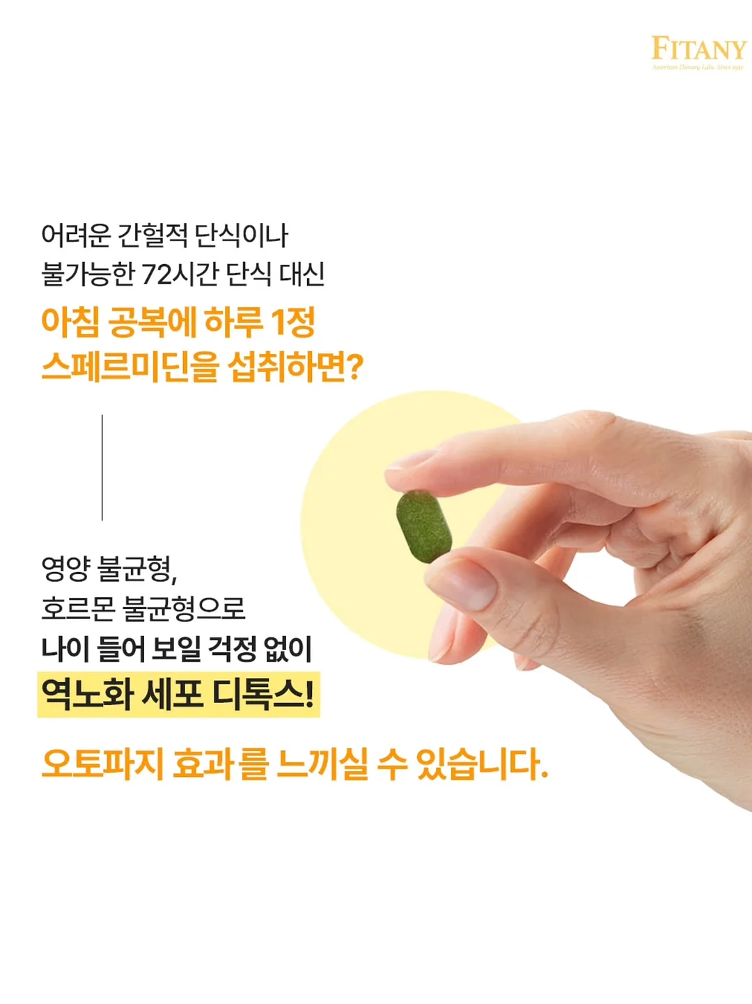 생일 답례품 부채 9